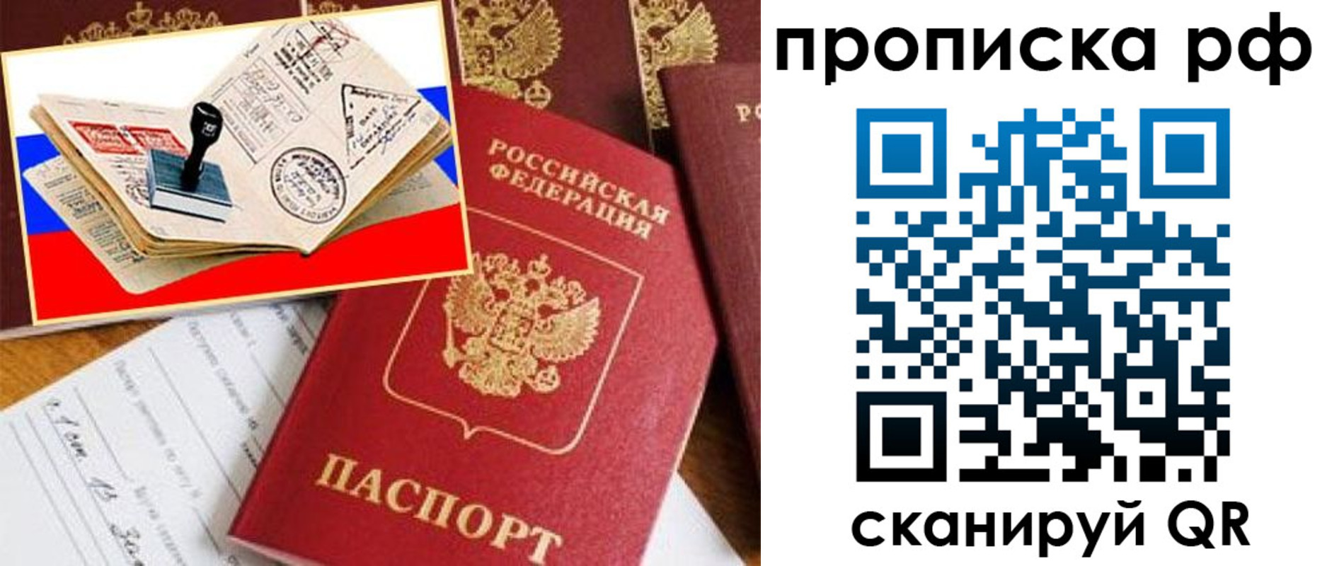 прописка иностранных граждан в Новодвинске